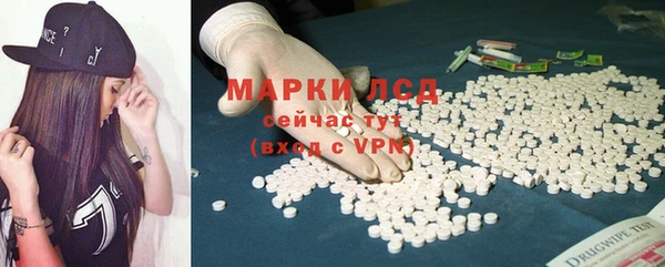 трава Аркадак